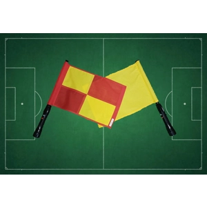 Adapted Buzzer Flags (LJC Provided Sticks)