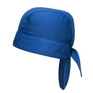 Cooling Head Band Cooling Head Band