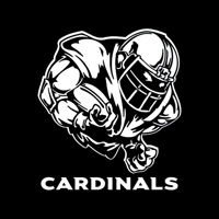 NFL Football Arizona Cardinals Pl..