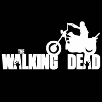 The Walking Dead Team Daryl Vinyl..