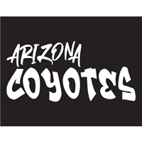NHL Hockey Arizona Coyotes graffi..