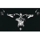 Glenn Danzig Skull Vinyl Decal sticker Glenn Danzig Skull Vinyl Decal sticker