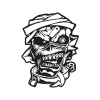 Iron Maiden Rock Metal Band Vinyl..