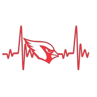 NFL Football heartbeat Arizona Ca..