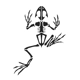 frog skeleton animals Die Cut Vinyl Decal sticker frog skeleton animals Die Cut Vinyl Decal sticker
