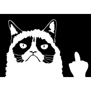 Angry Cat flip off Die Cut Vinyl Decal sticker
