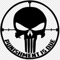 Punishment is Due The Punisher sk..