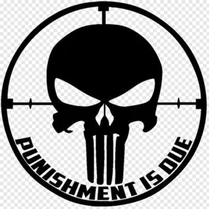 Punishment is Due The Punisher skull  Vinyl Decal sticker