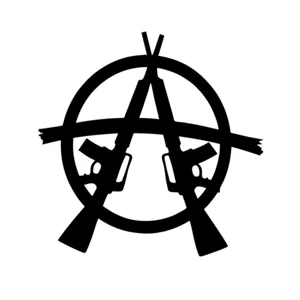 Anarchy Guns Rebel Rebellion Resistance Punk Rock Die Cut Vinyl Decal sticker