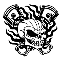 Mechanic pistons skull flames Vin..
