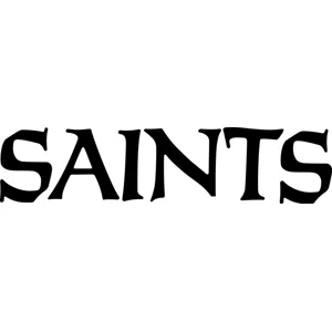 NFL Football New Orleans Saints vinyl decal sticker