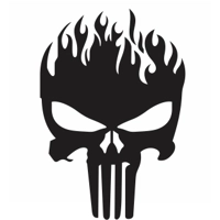 The Punisher flaming skull  Vinyl..