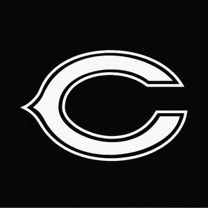 NFL Football Chicago Bears Die Cut Vinyl Decal sticker
