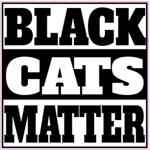 Black cats matter Die Cut Vinyl Decal sticker