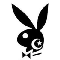 celestial Playboy Bunny Die Cut V..