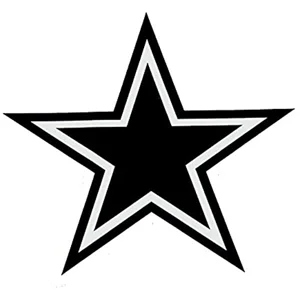 NFL Football Dallas Cowboys punisher Die Cut Vinyl Decal sticker