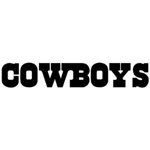 NFL Football Dallas Cowboys punisher Die Cut Vinyl Decal sticker