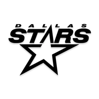 NHL Dallas Stars Hockey Die Cut V..