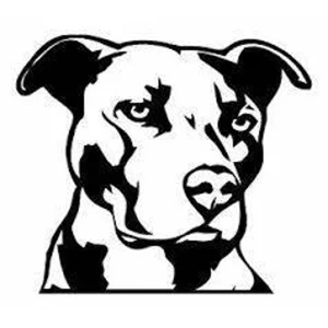 pitbull dog Pet Die Cut Vinyl Decal sticker