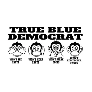 True Blue Democrat, Biden Harris Die Cut Vinyl Decal Sticker