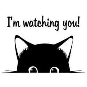 Im watching you! Peeking Cat Die Cut Vinyl Decal sticker