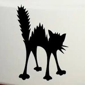 Scaredy Cat arched Die Cut Vinyl Decal sticker