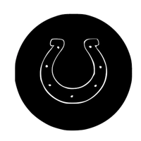 NFL Football Indianapolis Colts v..