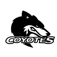 NHL Hockey Arizona Coyotes 3 Die ..