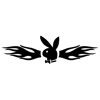Playboy Bunny flames Di.. Playboy Bunny flames Di..