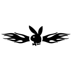 Playboy Bunny flames Die Cut Vinyl Decal Sticker