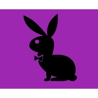 Playboy Bunny Die Cut Vinyl Decal..