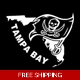 NFL Football Tampa Bay Bucaneers die cut vinyl d.. NFL Football Tampa Bay Bucaneers die cut vinyl d..