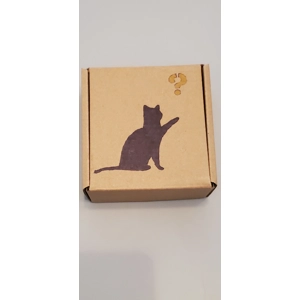 Faeyas Fairy Keepsake