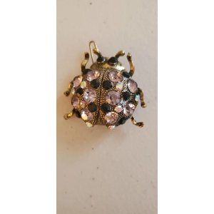 beetle