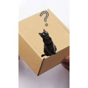 Mayhem mystery box