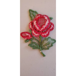 lace rose
