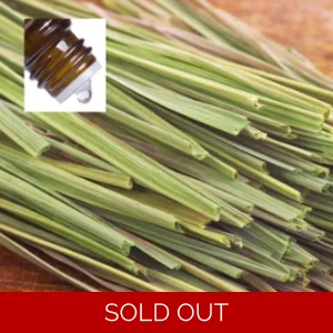 Citronella