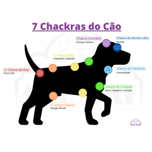 Sete Chacras - Dog