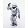Roy the Robot