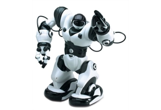 Robot - Ronnie