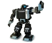 I Robot