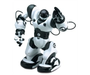 Robot - Ronnie