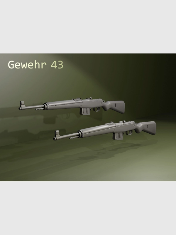 1/24 scale: GEWEHR 43 x 2 (ID 21.10)