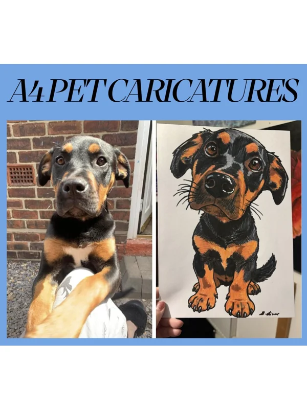 Personalised Pet Caricature from Photo | A4 Hand Drawn Art