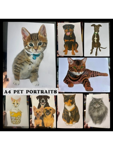 A4 Coloured Pencil Pet Portraits