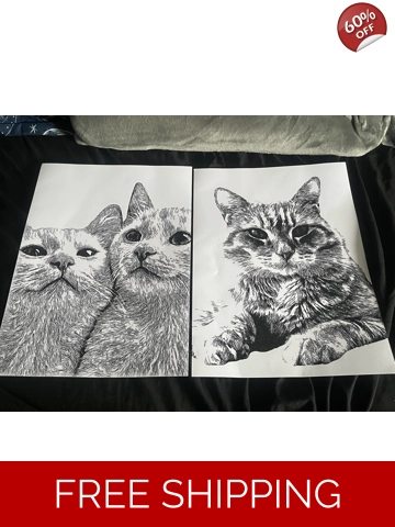Black Biro Pen Pet Portraits