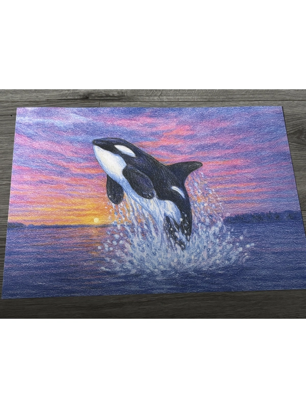 A3 Free Willy Matt Poster Print