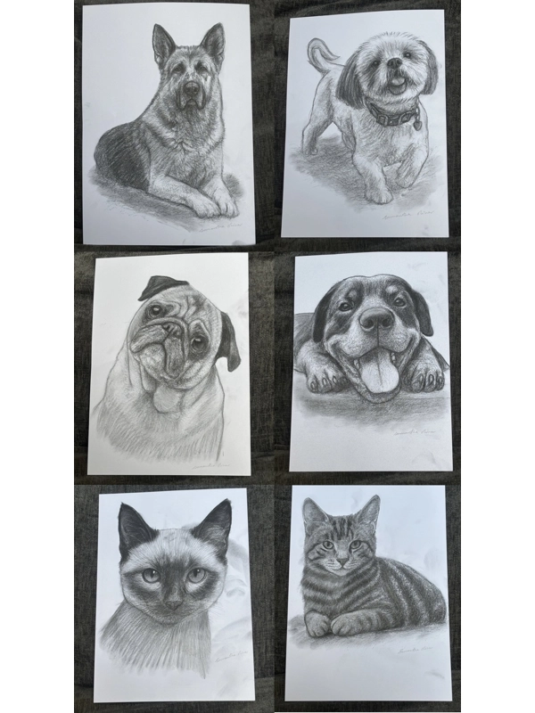 A4 Graphite Pencil Pet Portraits