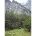 Allium ericetorum, 30 seeds