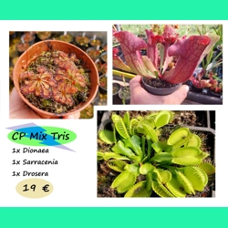 CP Mix Tris